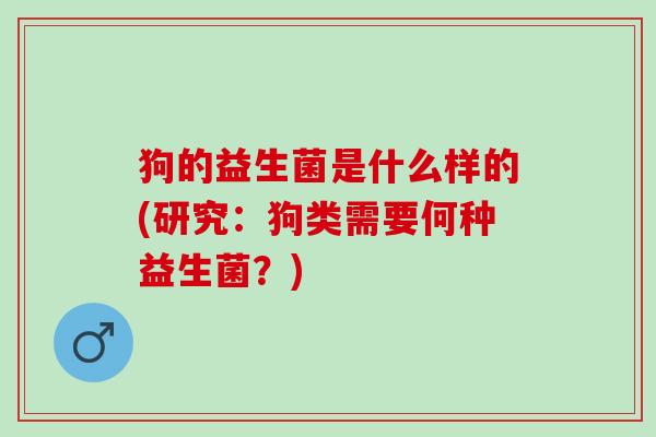 狗的益生菌是什么样的(研究:狗类需要何种益生菌?) 狗的益生菌是什么样的(研究:狗类需要何种益生菌?)