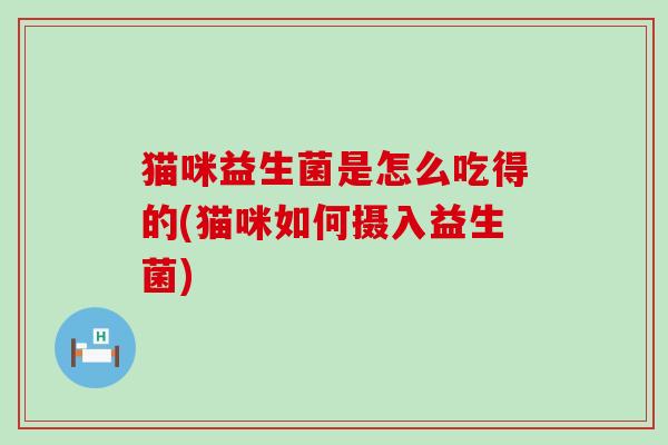 猫咪益生菌是怎么吃得的(猫咪如何摄入益生菌)