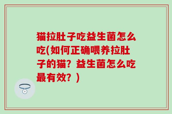 猫拉肚子吃益生菌怎么吃(如何正确喂养拉肚子的猫？益生菌怎么吃有效？)