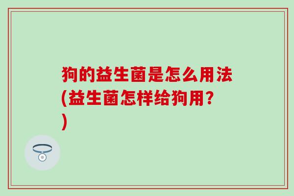 狗的益生菌是怎么用法(益生菌怎样给狗用？)