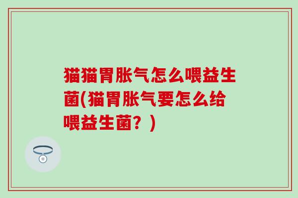 猫猫胃怎么喂益生菌(猫胃要怎么给喂益生菌？)