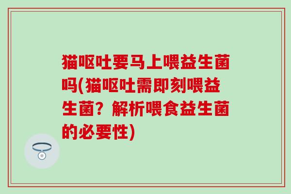 猫要马上喂益生菌吗(猫需即刻喂益生菌？解析喂食益生菌的必要性)
