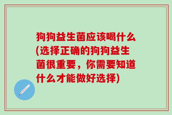狗狗益生菌应该喝什么(选择正确的狗狗益生菌很重要，你需要知道什么才能做好选择)