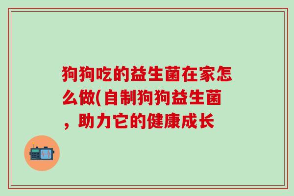 狗狗吃的益生菌在家怎么做(自制狗狗益生菌，助力它的健康成长