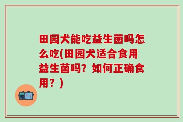 田园犬能吃益生菌吗怎么吃(田园犬适合食用益生菌吗？如何正确食用？)