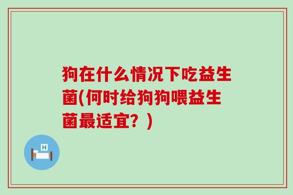 狗在什么情况下吃益生菌(何时给狗狗喂益生菌适宜？)