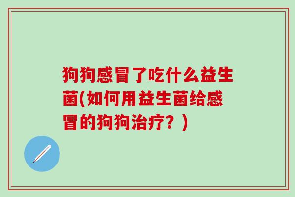 狗狗了吃什么益生菌(如何用益生菌给的狗狗？)