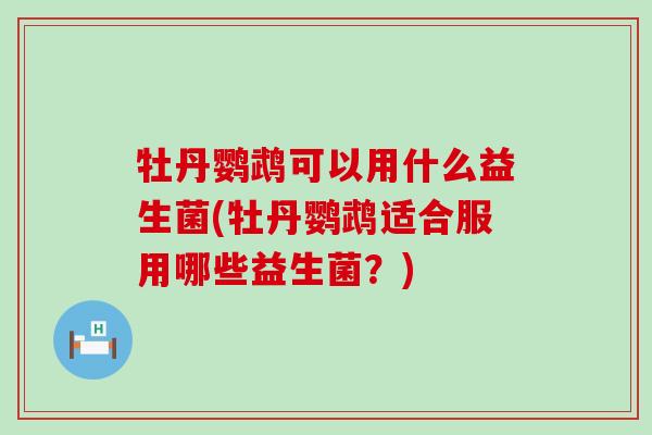 牡丹鹦鹉可以用什么益生菌(牡丹鹦鹉适合服用哪些益生菌？)