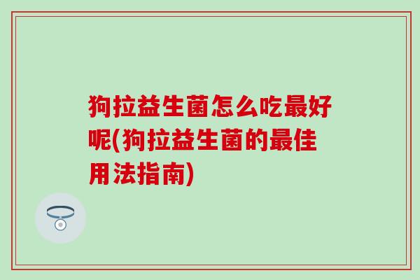 狗拉益生菌怎么吃好呢(狗拉益生菌的佳用法指南)