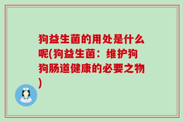 狗益生菌的用处是什么呢(狗益生菌：维护狗狗肠道健康的必要之物)