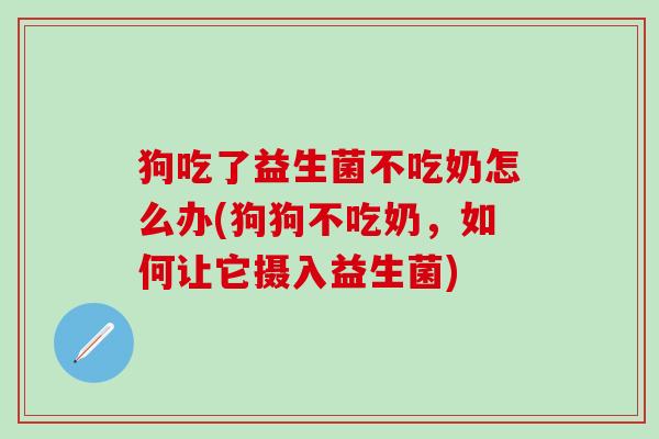 狗吃了益生菌不吃奶怎么办(狗狗不吃奶，如何让它摄入益生菌)