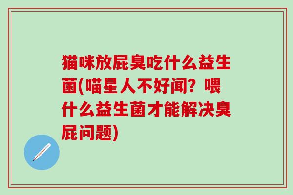 猫咪放屁臭吃什么益生菌(喵星人不好闻？喂什么益生菌才能解决臭屁问题)