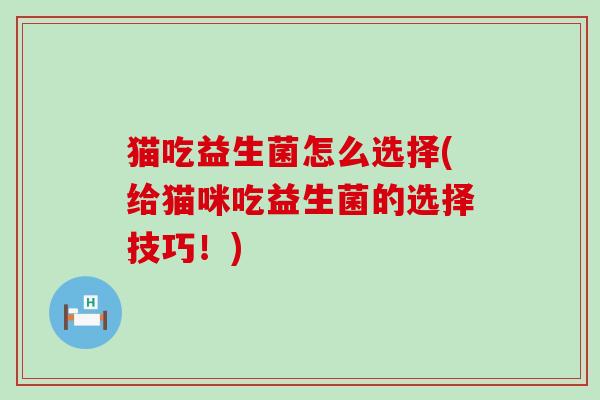 猫吃益生菌怎么选择(给猫咪吃益生菌的选择技巧！)