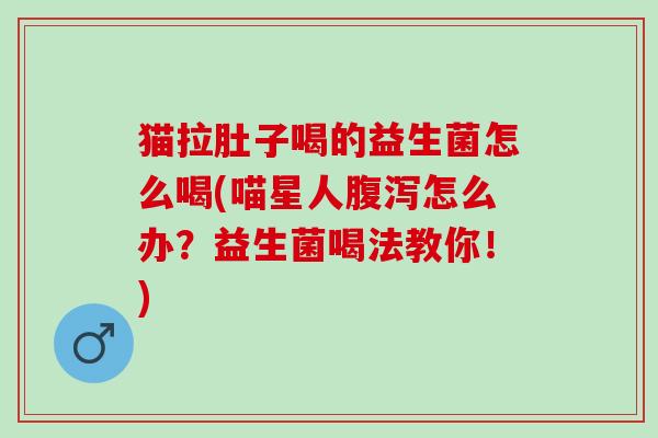 猫拉肚子喝的益生菌怎么喝(喵星人怎么办？益生菌喝法教你！)