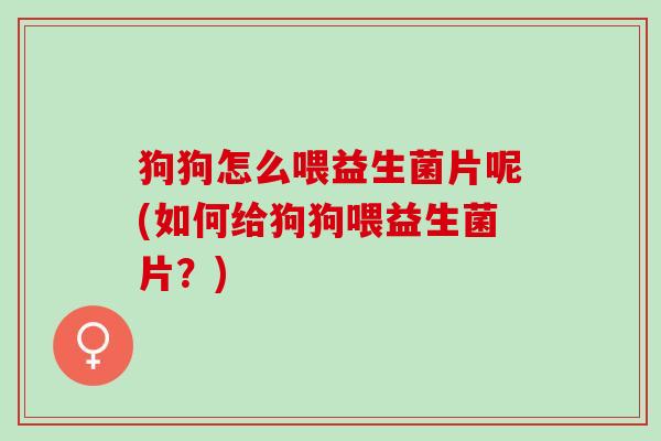 狗狗怎么喂益生菌片呢(如何给狗狗喂益生菌片？)