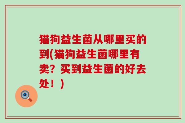 猫狗益生菌从哪里买的到(猫狗益生菌哪里有卖？买到益生菌的好去处！)