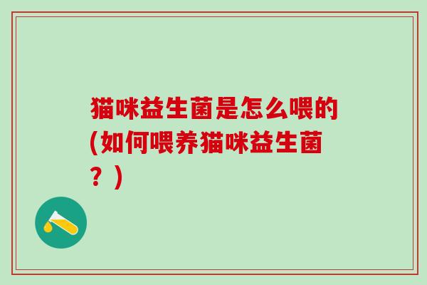 猫咪益生菌是怎么喂的(如何喂养猫咪益生菌？)