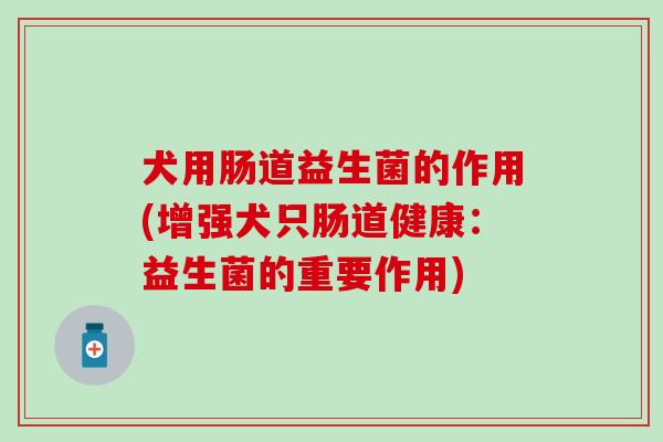 犬用肠道益生菌的作用(增强犬只肠道健康：益生菌的重要作用)