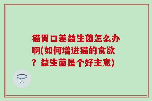 猫胃口差益生菌怎么办啊(如何增进猫的？益生菌是个好主意)
