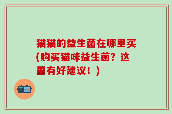 猫猫的益生菌在哪里买(购买猫咪益生菌？这里有好建议！)