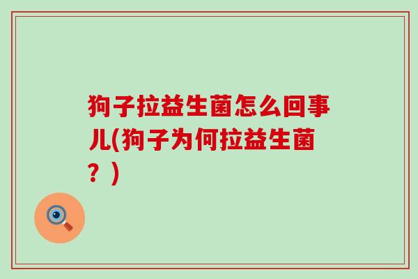狗子拉益生菌怎么回事儿(狗子为何拉益生菌？)