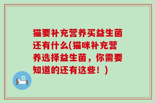 猫要补充营养买益生菌还有什么(猫咪补充营养选择益生菌，你需要知道的还有这些！)