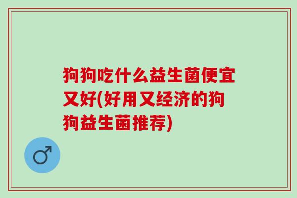 狗狗吃什么益生菌便宜又好(好用又经济的狗狗益生菌推荐)