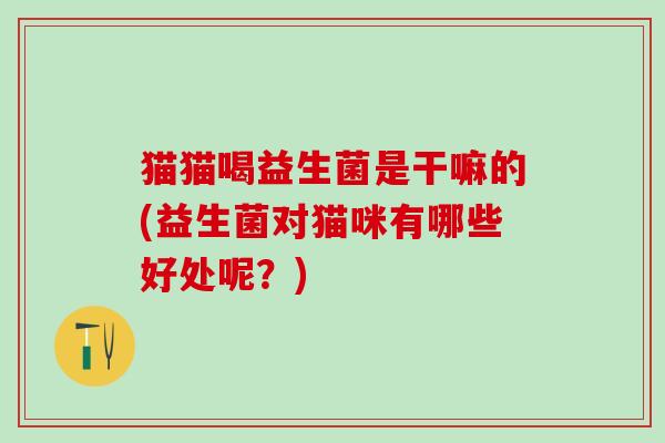 猫猫喝益生菌是干嘛的(益生菌对猫咪有哪些好处呢？)