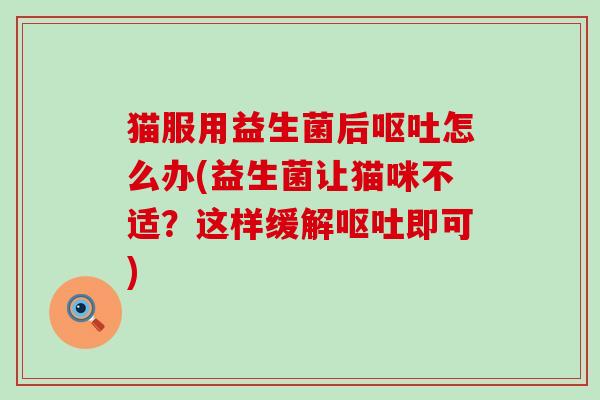 猫服用益生菌后怎么办(益生菌让猫咪不适？这样缓解即可)