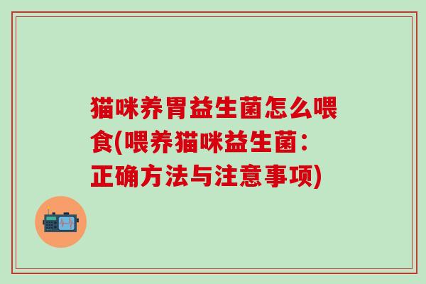 猫咪养胃益生菌怎么喂食(喂养猫咪益生菌：正确方法与注意事项)