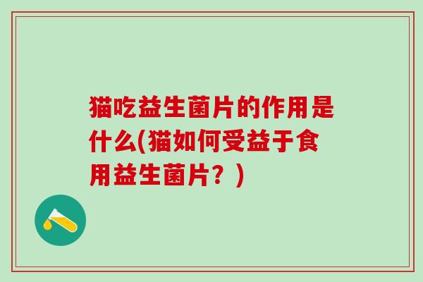 猫吃益生菌片的作用是什么(猫如何受益于食用益生菌片？)