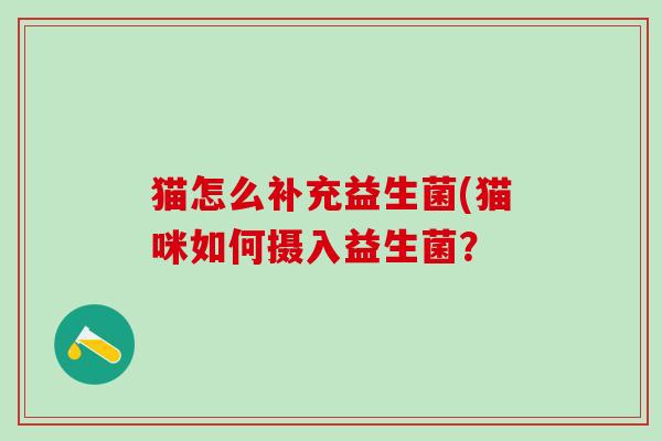 猫怎么补充益生菌(猫咪如何摄入益生菌？