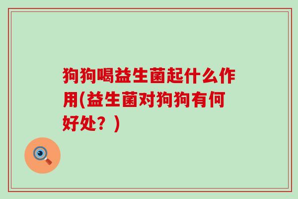 狗狗喝益生菌起什么作用(益生菌对狗狗有何好处？)