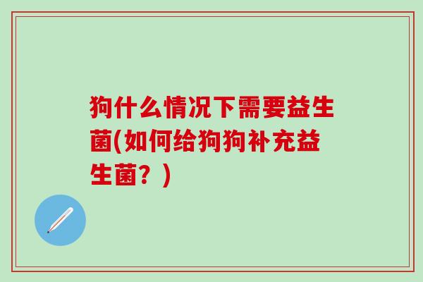 狗什么情况下需要益生菌(如何给狗狗补充益生菌？)