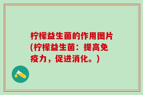 柠檬益生菌的作用图片(柠檬益生菌：提高力，促进消化。)