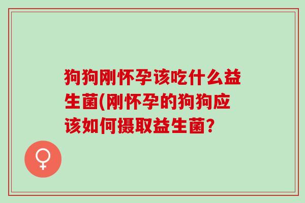 狗狗刚怀孕该吃什么益生菌(刚怀孕的狗狗应该如何摄取益生菌？