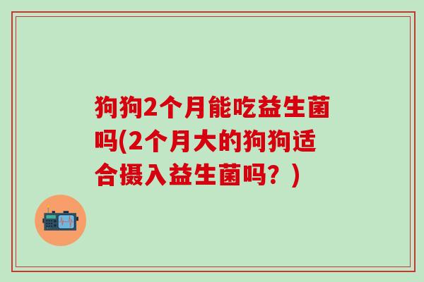 狗狗2个月能吃益生菌吗(2个月大的狗狗适合摄入益生菌吗？)