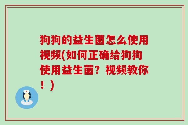狗狗的益生菌怎么使用视频(如何正确给狗狗使用益生菌？视频教你！)