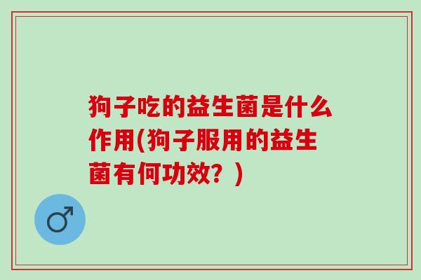 狗子吃的益生菌是什么作用(狗子服用的益生菌有何功效？)