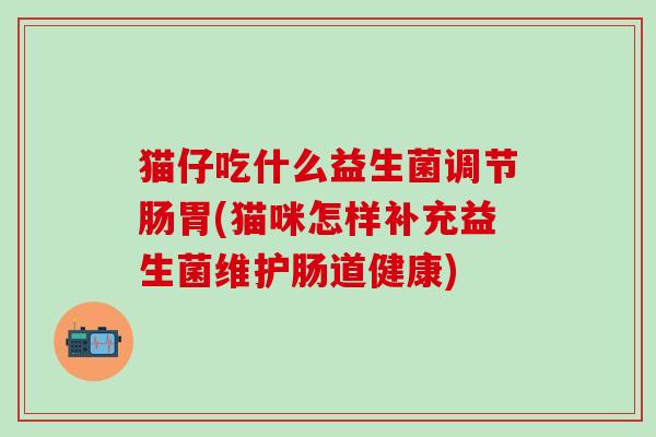 猫仔吃什么益生菌调节肠胃(猫咪怎样补充益生菌维护肠道健康)