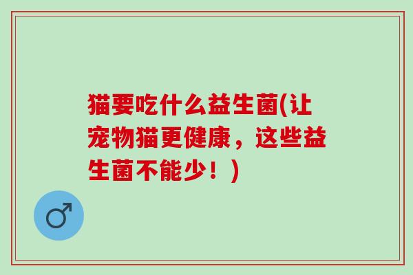 猫要吃什么益生菌(让宠物猫更健康，这些益生菌不能少！)