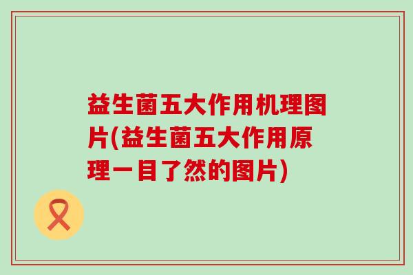 益生菌五大作用机理图片(益生菌五大作用原理一目了然的图片)