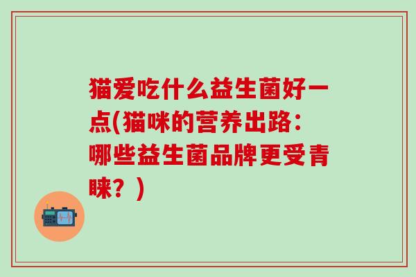 猫爱吃什么益生菌好一点(猫咪的营养出路：哪些益生菌品牌更受青睐？)