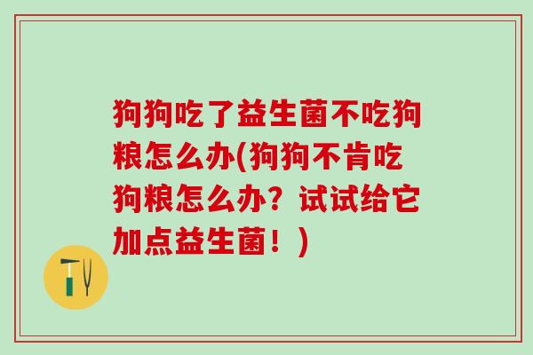 狗狗吃了益生菌不吃狗粮怎么办(狗狗不肯吃狗粮怎么办？试试给它加点益生菌！)