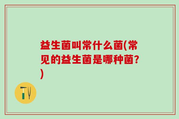 益生菌叫常什么菌(常见的益生菌是哪种菌？)