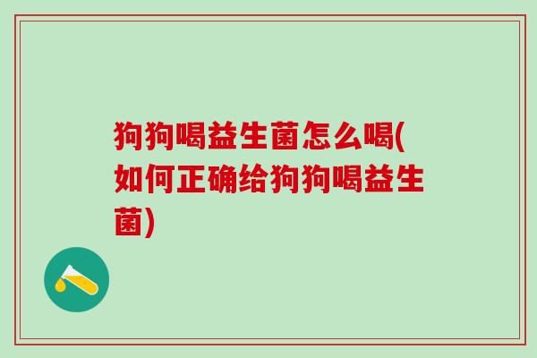 狗狗喝益生菌怎么喝(如何正确给狗狗喝益生菌)