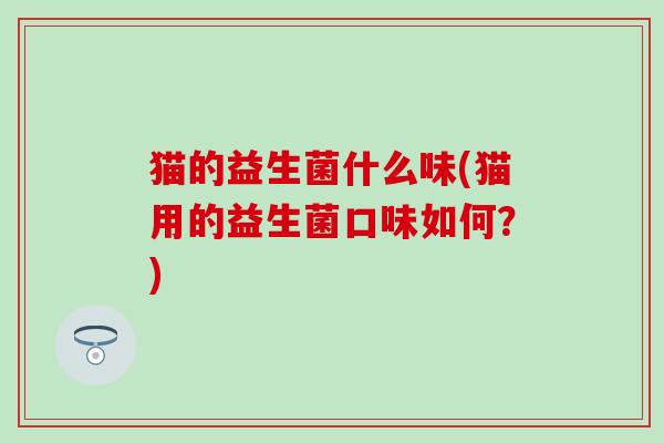 猫的益生菌什么味(猫用的益生菌口味如何？)