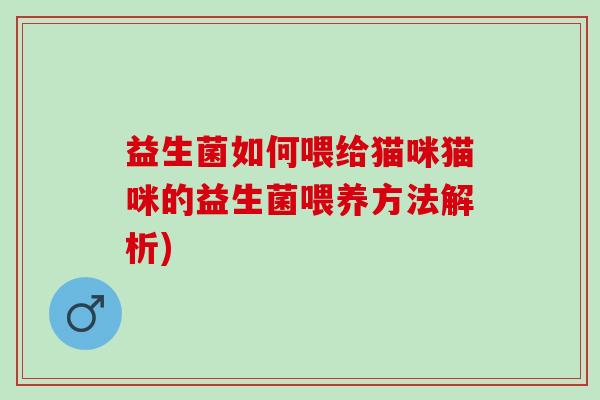 益生菌如何喂给猫咪猫咪的益生菌喂养方法解析)