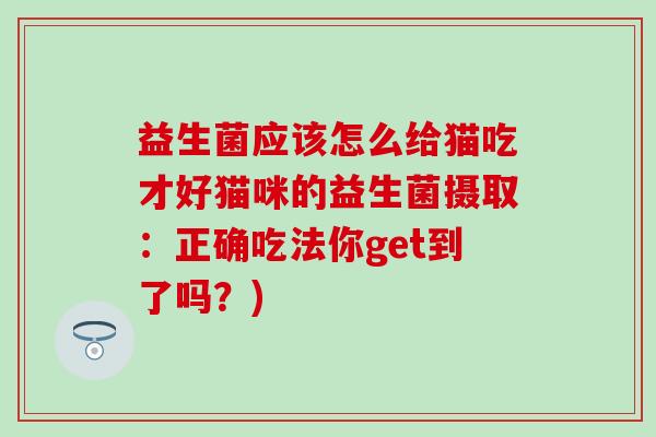 益生菌应该怎么给猫吃才好猫咪的益生菌摄取：正确吃法你get到了吗？)