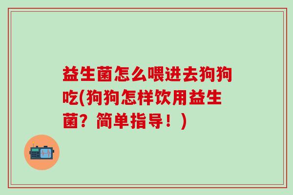 益生菌怎么喂进去狗狗吃(狗狗怎样饮用益生菌？简单指导！)